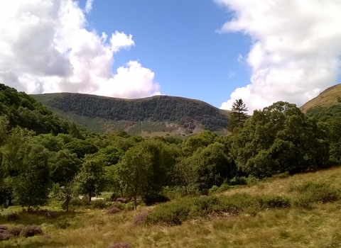 Gilfach View