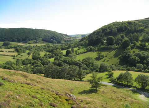 Gilfach Views