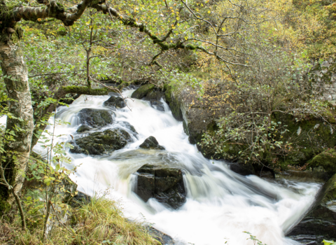 Marteg Waterfall at Gilfach by Sam Perkins