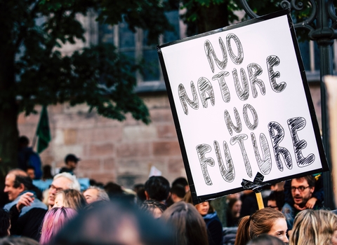 An image of a climate march with the placard 'no nature no future' in white and black