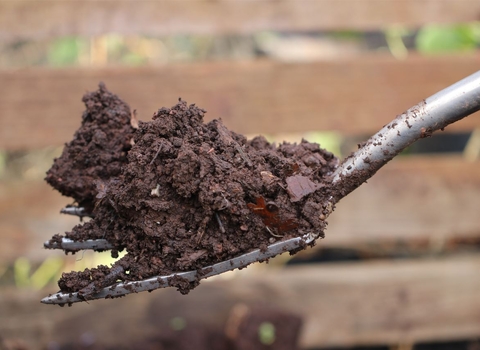 Soil on pitchfork