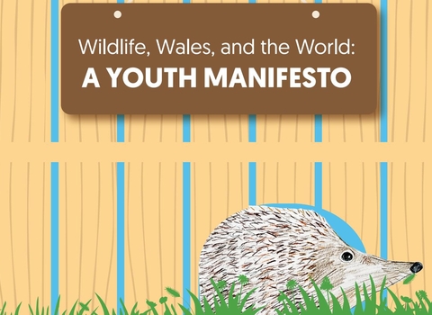 Wildlife, Wales, and the World: A Youth Manifesto