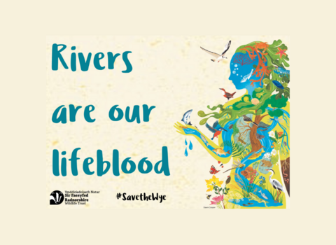 Rivers are our lifeblood postcard