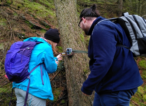 Nature's Recovery and Climate Change Trainee