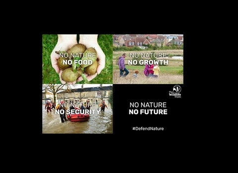 Defend Nature postcards