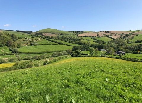 pentwyn farm