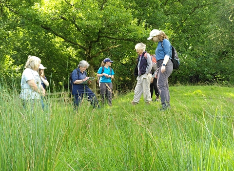 A photo of a group of people looking at plants