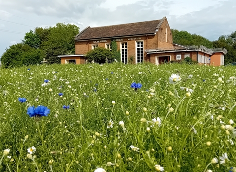 Wildflower meadow in bloom outside of a church
