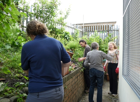 Group of volunteers of various ages work together on a raised bed in a community garden.