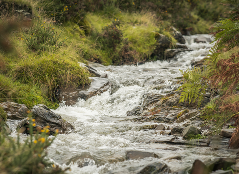 River Lugg