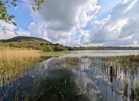 Llanbwchllyn