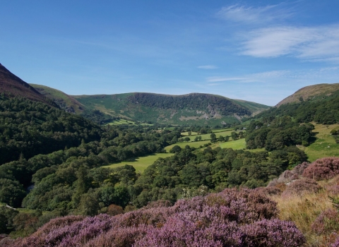 Gilfach Nature Reserve