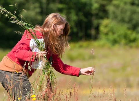 Identifying grasses by Ross Hoddinott/2020VISION